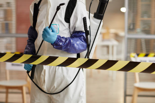 Professional Hoarding Cleanup technician working in McQueeney, TX